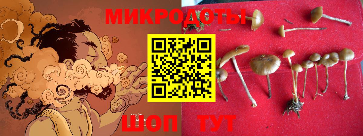 Псилоцибиновые грибы мухоморы Соль-Илецк