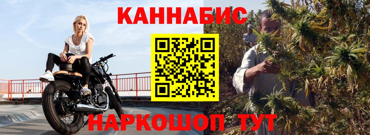 Бошки марихуана Amnesia  Вход с VPN  Бошки марихуана OG Kush  Канабис Bruce Banner  Бошки Шишки планчик  Соль-Илецк 
